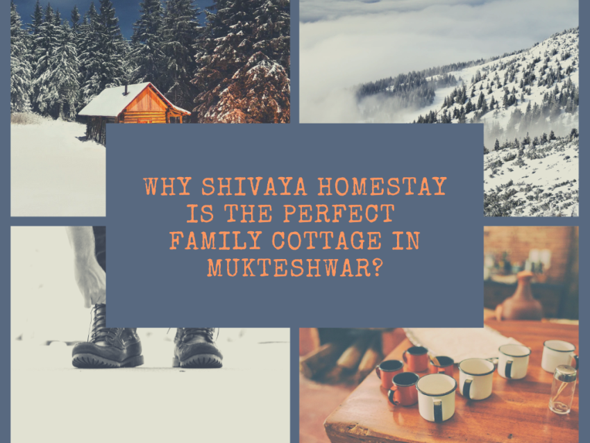 Why Shivaya Homestay is the Perfect Family Cottage in Mukteshwar?