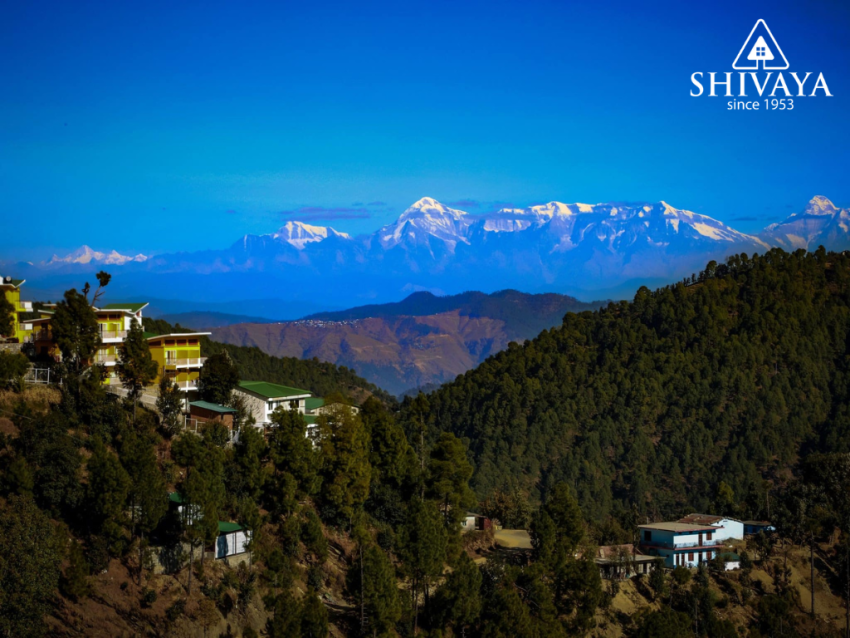 The Ultimate Luxury Cottage Experience in Mukteshwar, Nainital