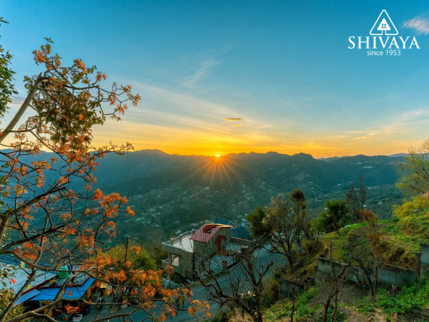 Unparalleled Comfort in Mukteshwar's Finest Cottages